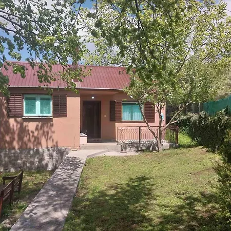 Seoski Raj * Podgorica
