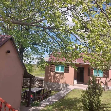 Seoski Raj * Podgorica